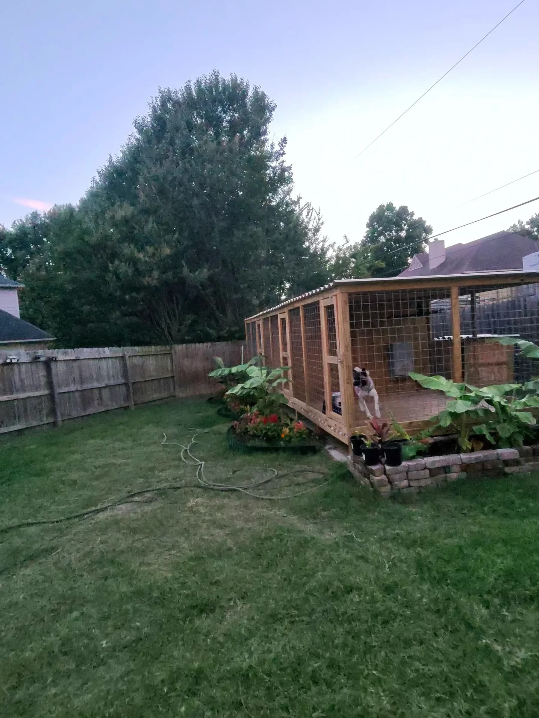 The kennel and yard at Briwder Kennels